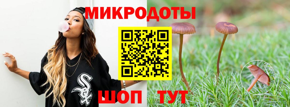 Татарск  Галлюциногенные грибы мицелий  Вход с VPN 